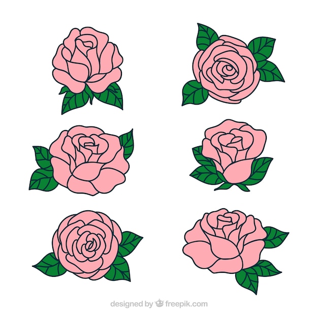 Pretty hand drawn roses