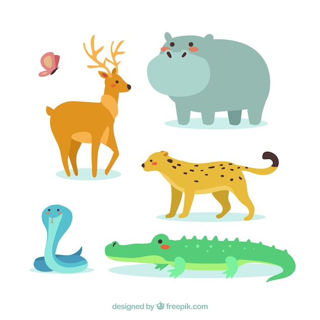 pretty wild animals
