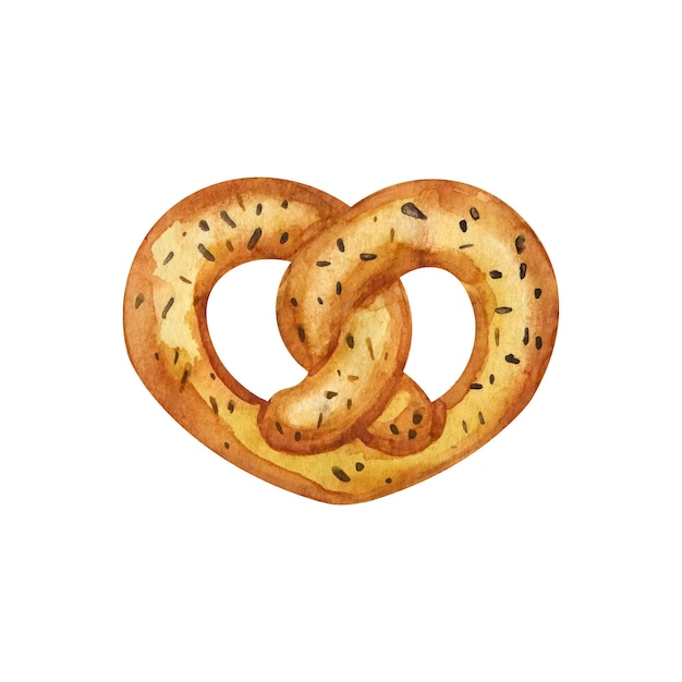 Pretzel con spezie illustrazione ad acquerello disegnata a mano di cibo tedesco isolato su sfondo bianco