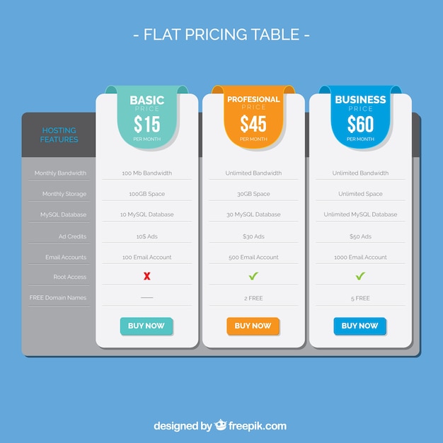 Pricing table with several options