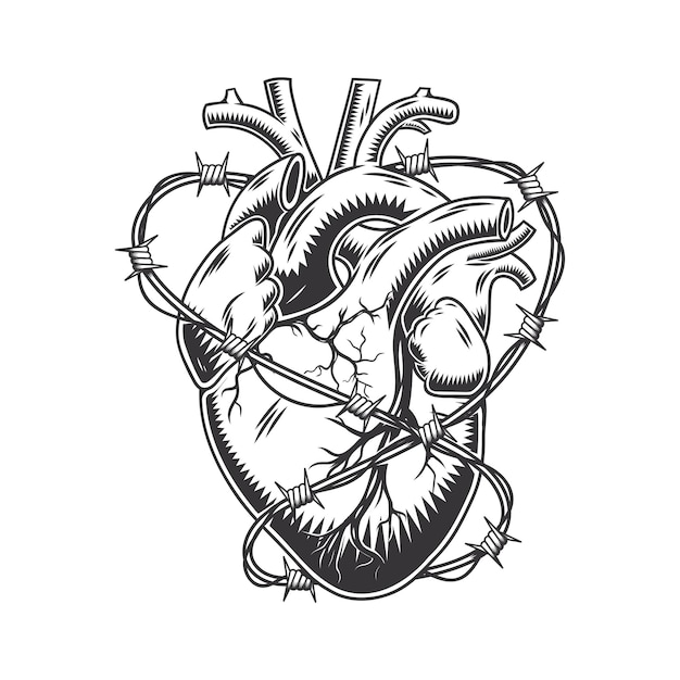 Prikkeldraad hart anatomisch hand getekende lijntekeningen. vintage Flash tattoo of print ontwerp vectorillustratie.