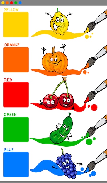 Vector primaire kleuren met fruit