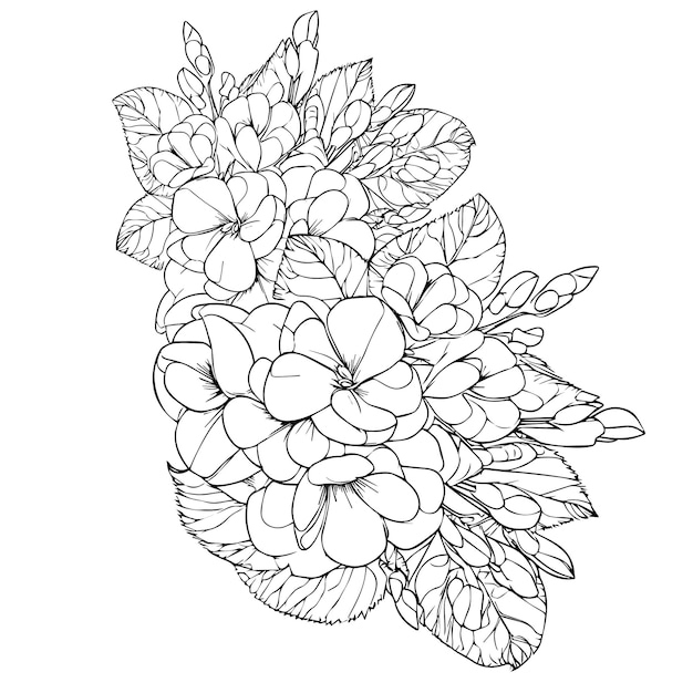 Primrose bloem vector kunst elementen zomercollectie handgeschilderde primula kleurplaten