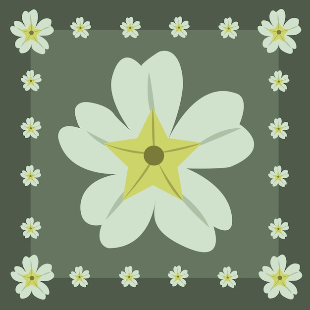 Primrose flowers illustration