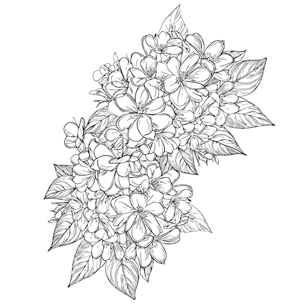 サクラソウの花の描画 サクラソウの花 ぬりえ ページ マツヨイグサ 線画 タトゥー アート
