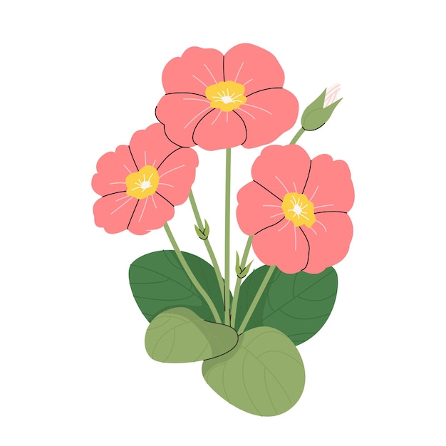 Primula veris cowslip или primrose cowslip травяное растение дикое растение для ботанических иллюстраций, нарисованное рукой