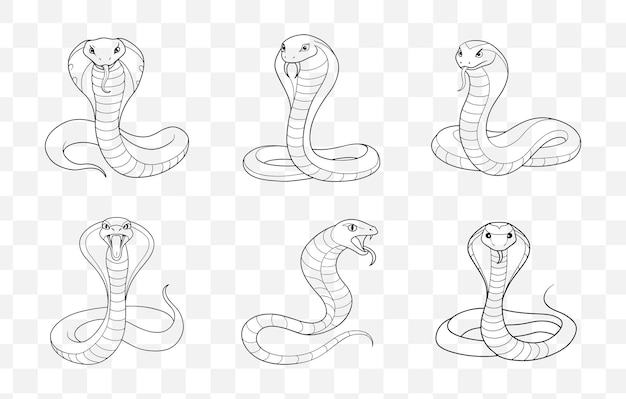 Print King Cobra Line Art Vector Set with Detailed Illustrations and Creative Designs for Graphic Pr