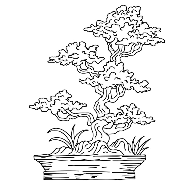 Print ontwerp illustratie Aziatische bonsai boom overzicht