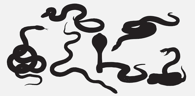 Print Serpentine Shadows Een spectaculaire collectie van slangen silhouetten