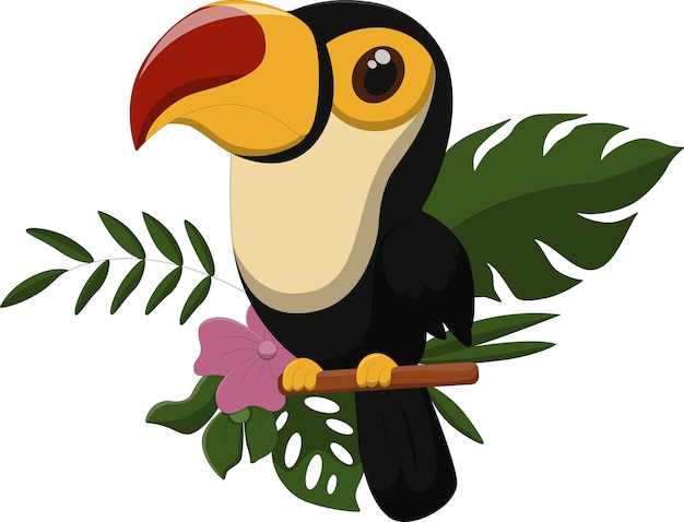 toucan cartoon