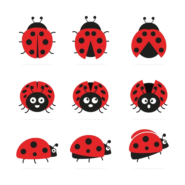 lady bug Vector PNG Image