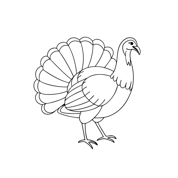 Vector printable thin line drawing of turkey birdcoloring page