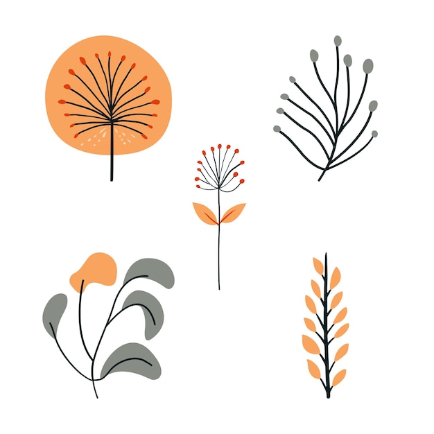 Vector printflat design flower collection