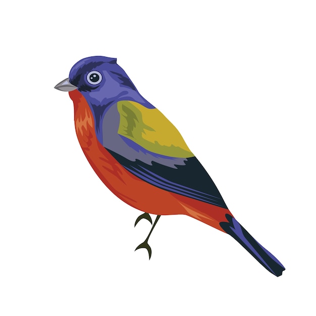 Vector printpainted bunting bird