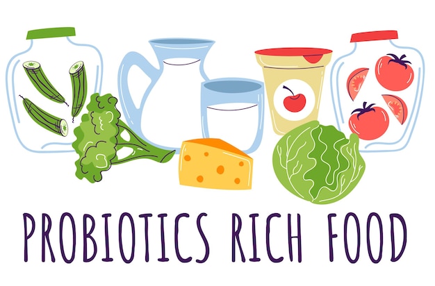 Vector probiotic fermented rich food vector infographics concept. vector cartoon graphic design element ill