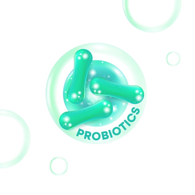 Vector probiotic foods good bacteria vector illustration