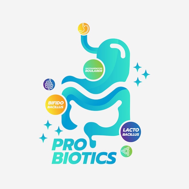 Vector probiotic foods good bacteria vector illustration