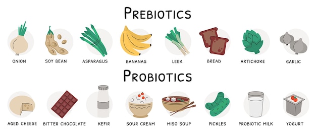 Vector probiotic and prebiotic products