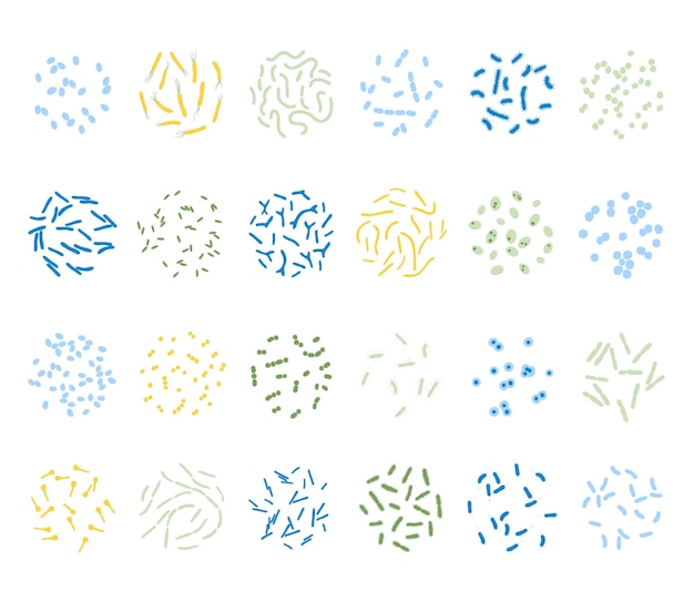 Probiotica. meest voorkomende pathogene en nuttige bacteriën. menselijke darmmicrobiota vectorillustratie