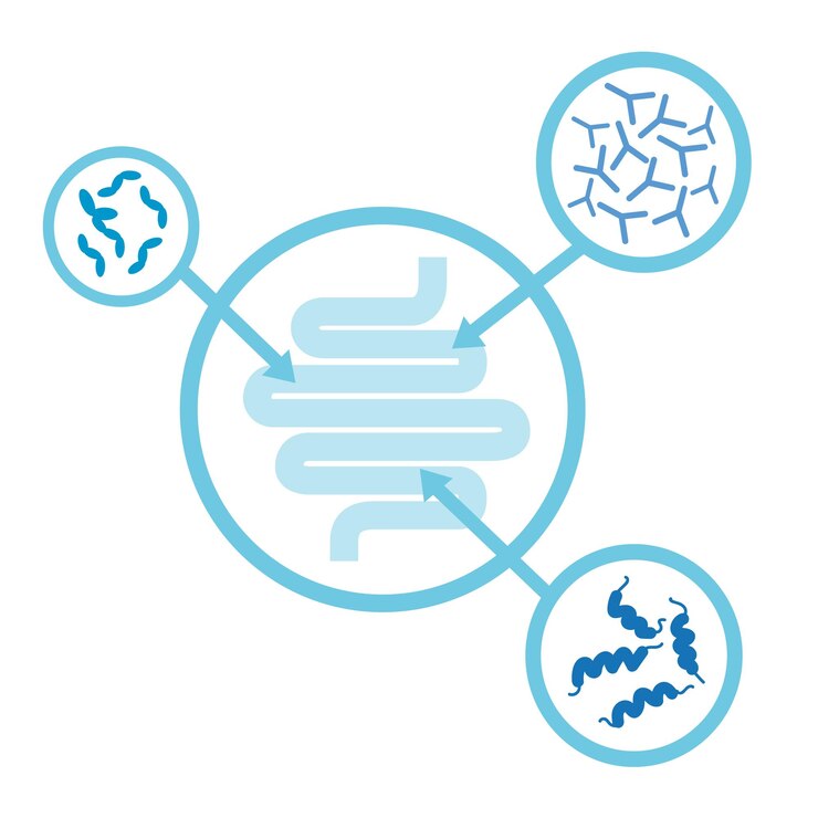Vector probiotics icons