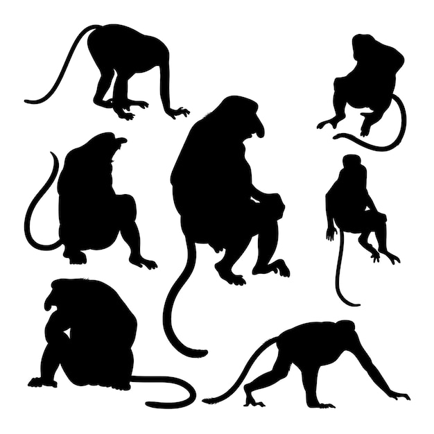 Vettore sagome di animali rari della scimmia proboscide