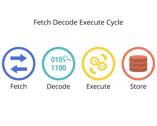 Vector process of cpu for fetch decode execute and store cycle