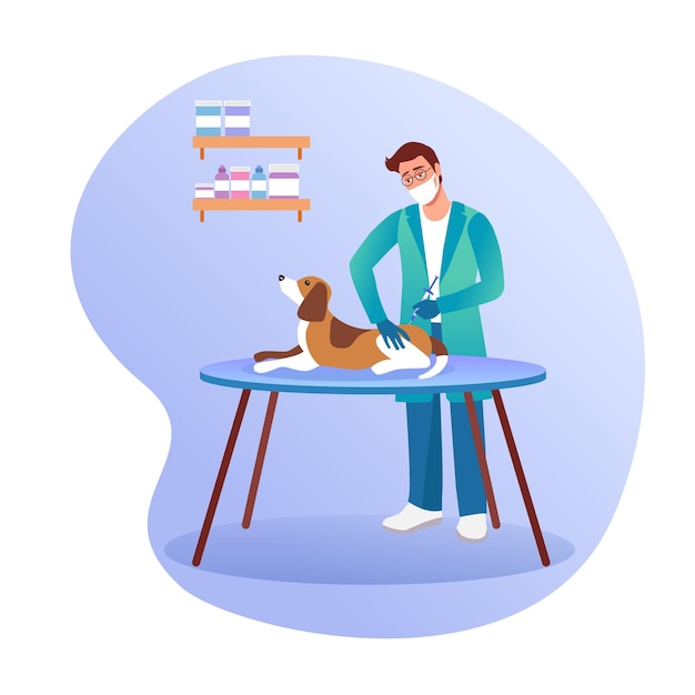 Vector process of examining puppy cartoon doctor vaccinates dog visiting veterinary clinic professional doctors curing cute pets healthcare services for domestic animals