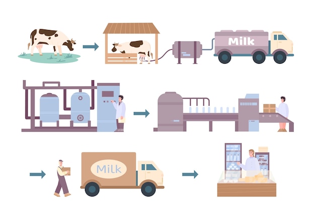 Vector process of milk products processing cartoon vector illustration isolated