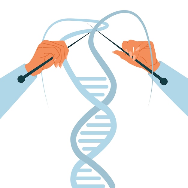 Процесс молекулярного клонирования редактирование модификация днк лаборатория анатомических генов руки вязание молекулы будущие технологии микробиологии и биохимии векторная концепция мультфильма