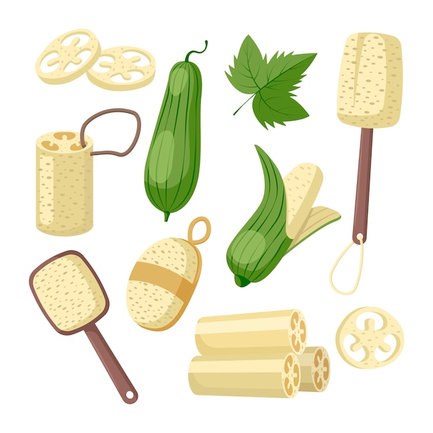 Producten gemaakt van luffa vector illustraties set