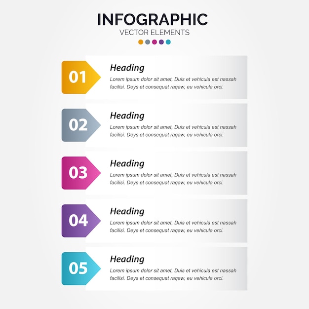 Professional 5 options vertical infographic with icon 5 options processes