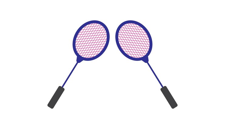 Vector professional badminton sports team championship logo