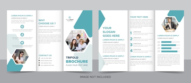 Professional business trifold brochure design