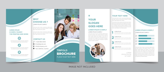 Professional business trifold brochure design