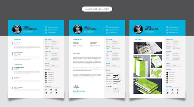 Professional Clean Resume Design