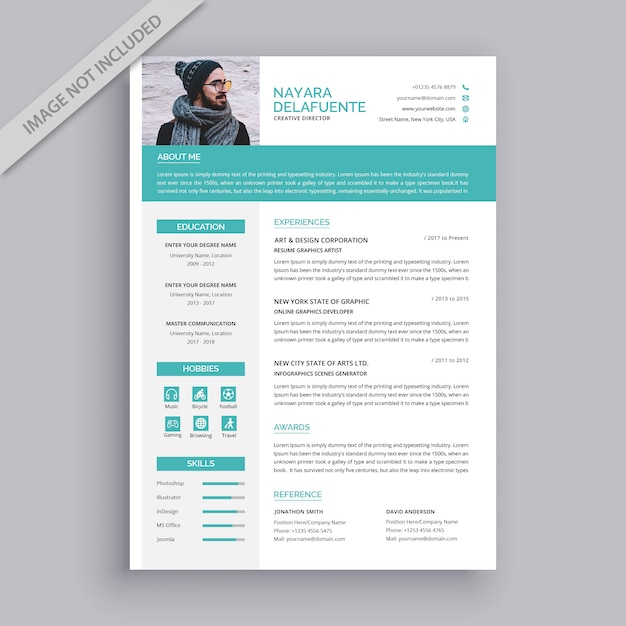 Vector professional curriculum vitae template