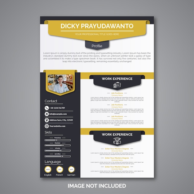 Professional curriculum vitae template