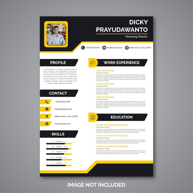 Professional curriculum vitae template