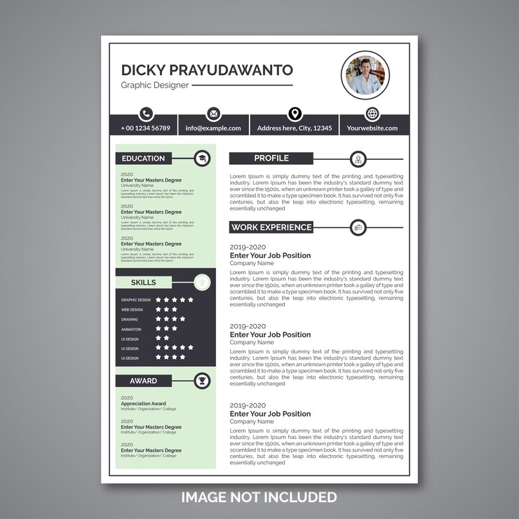 Vector professional curriculum vitae template