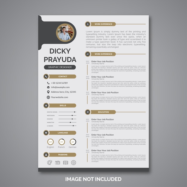 Professional curriculum vitae template