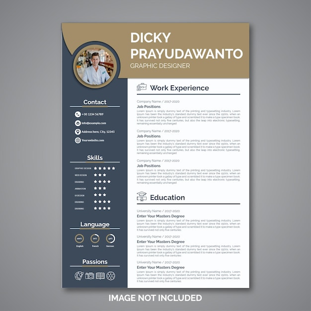 Professional curriculum vitae template