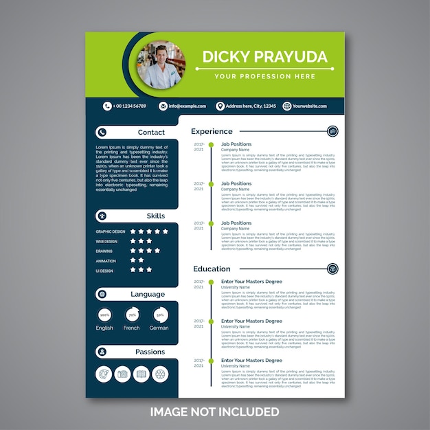 Professional curriculum vitae template