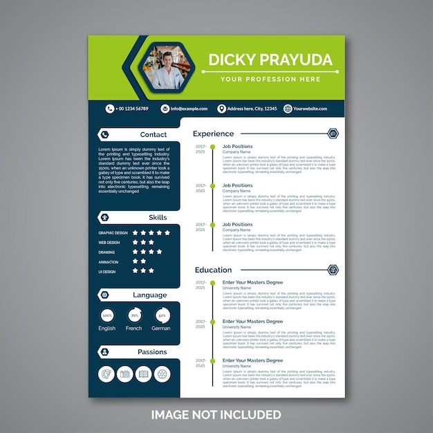 Professional curriculum vitae template