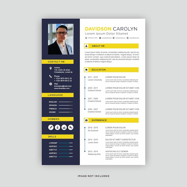 professional curriculum vitae template