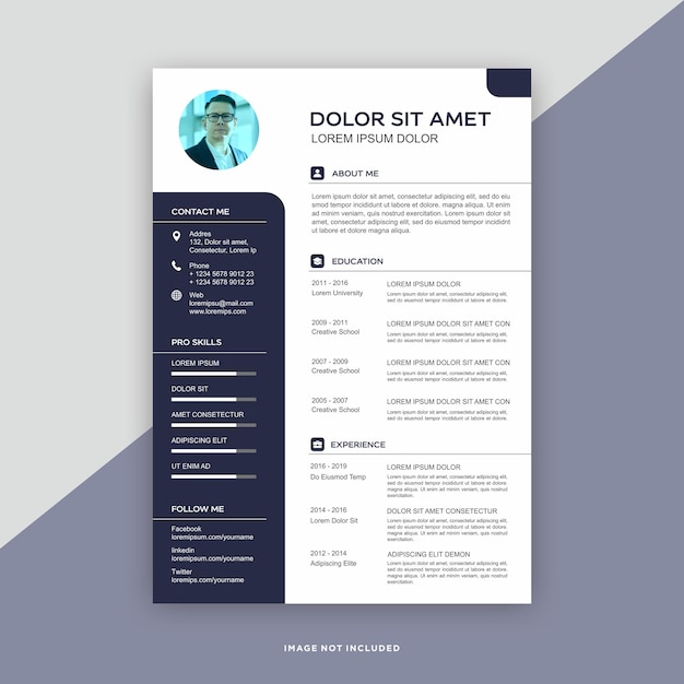 Professional curriculum vitae template