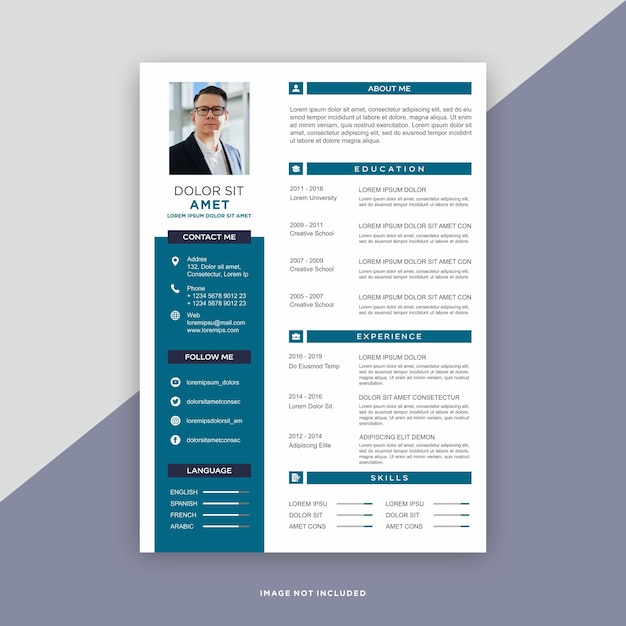 Professional curriculum vitae template