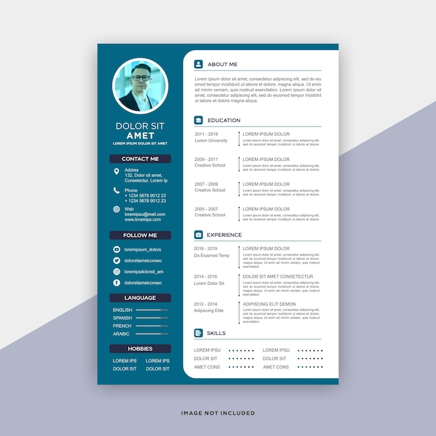 Professional curriculum vitae template