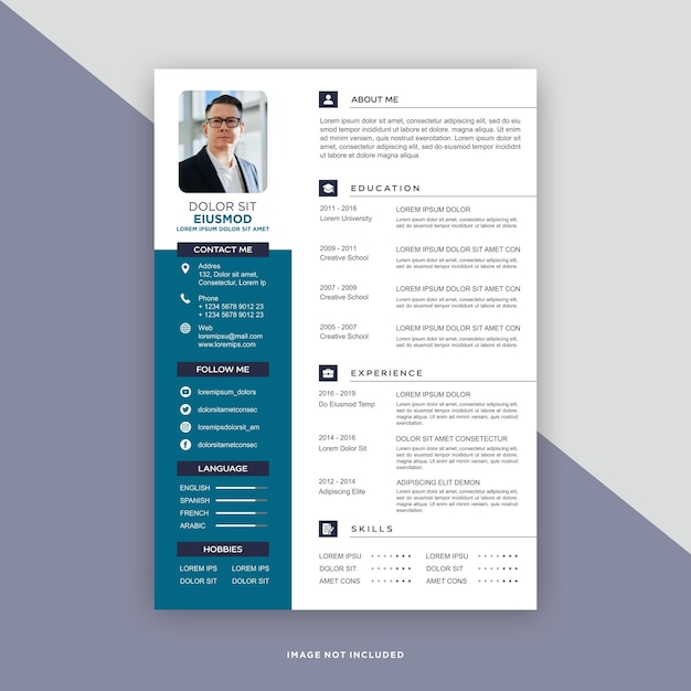 professional curriculum vitae template
