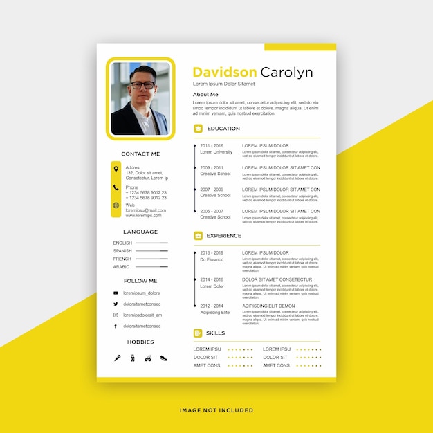 professional curriculum vitae template