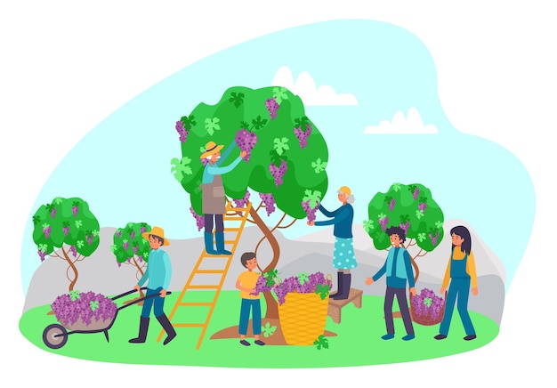 Professional farmer character people together harvest wine product process grape tree flat vector